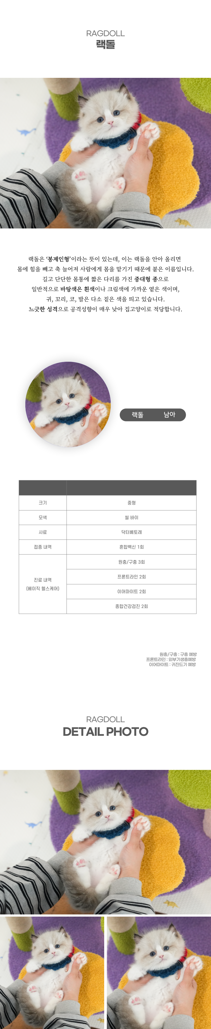 랙돌_상세이미지_2